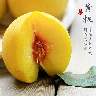炎陵县炎陵黄桃  开园啦  高山果园现摘现发 精品炎陵锦绣黄桃 5斤装礼盒