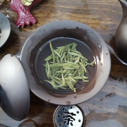 凌云县 凌云白毫茶春茶