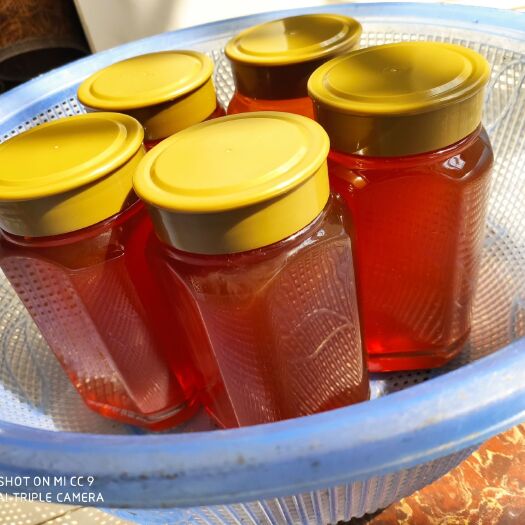 廉江市冬蜜（百花蜜）