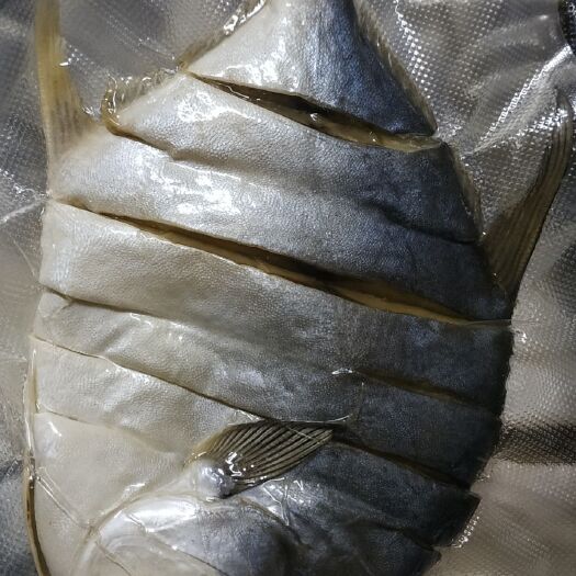 湛江深海金鲳鱼干咸鱼干金昌鱼干黄特鲳鱼干深海活鱼金鲳鱼一件代发