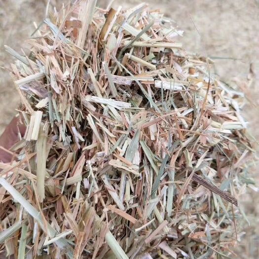 阜新县大量柔丝轧断玉米秸秆饲草出售