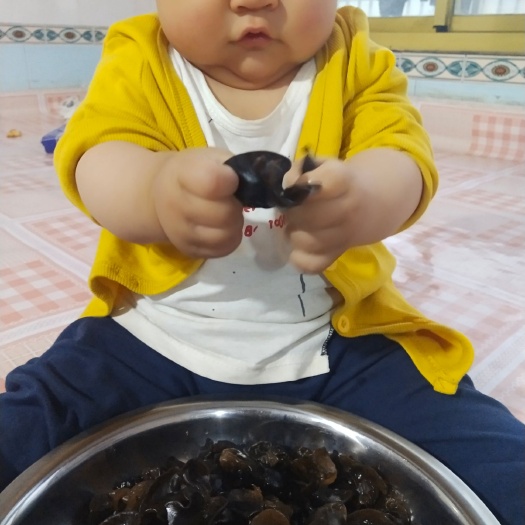 北票市 秋耳，木耳批发