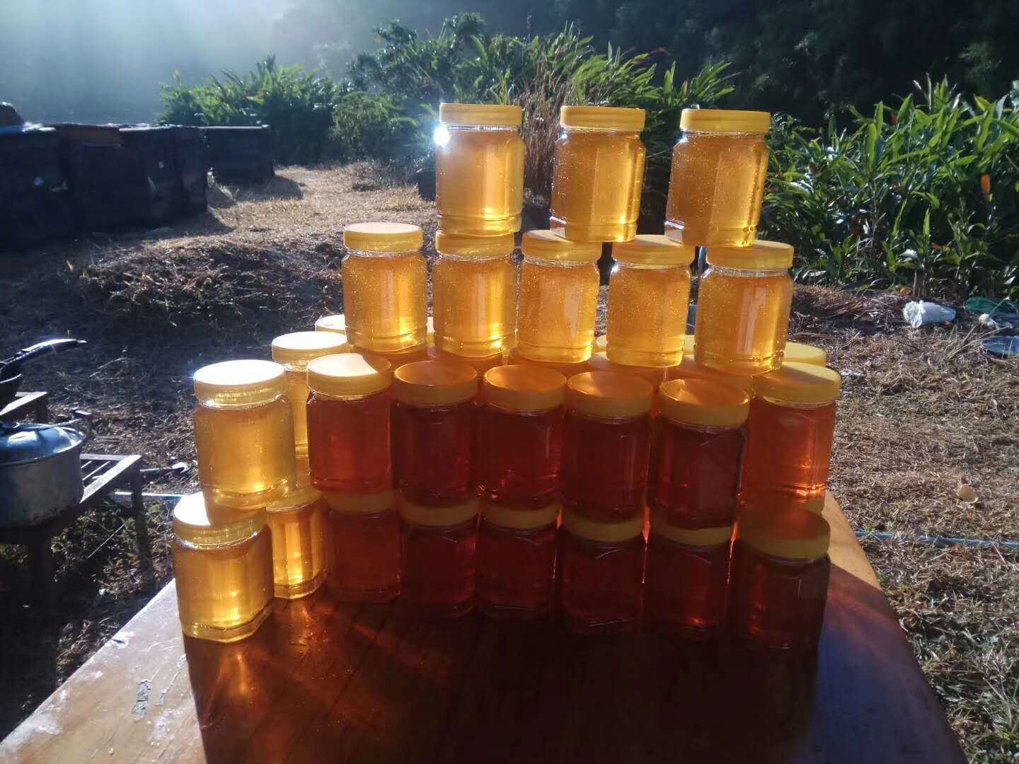 高州市 农家土蜂蜜
