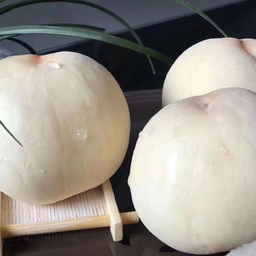 蒙阴县毛桃  蒙阴白桃，也叫白雪公主蜜桃，脆甜多汁，自家果园，一件
