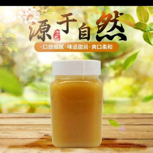 长葛市 云南深山土蜂蜜500克/瓶～包邮 无污染农家蜂场直供