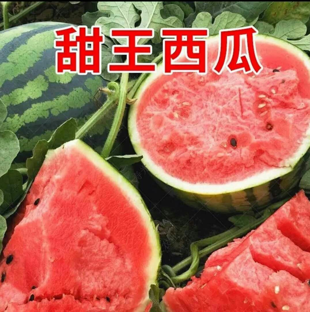 庆红甜王西瓜品种介绍图片