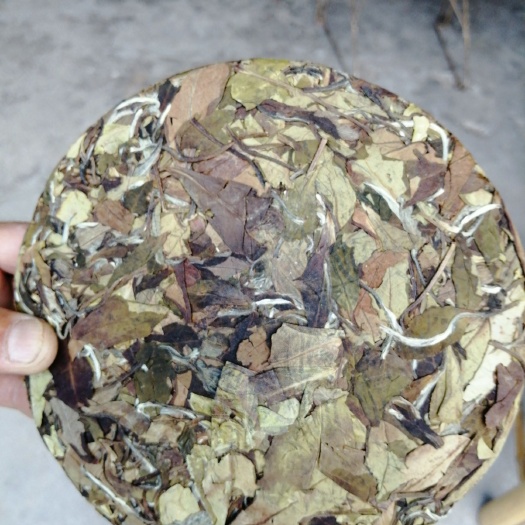 福鼎市 福鼎管阳天竹白茶
