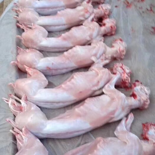 兰考县兔肉类  兔肉