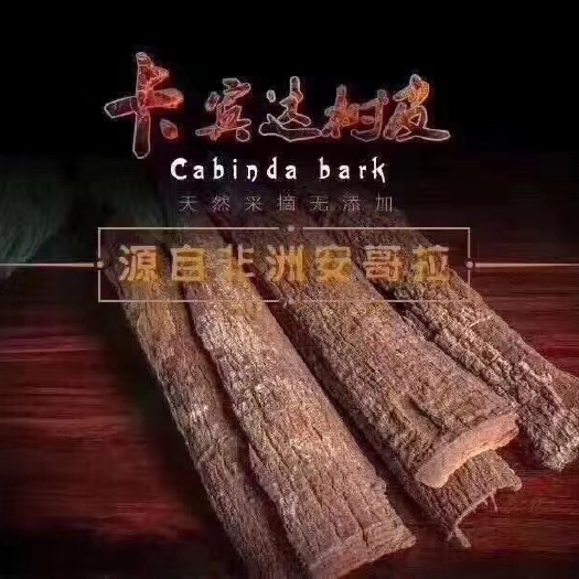 安哥拉树皮  【男人加油站】安哥拉卡宾达树皮非洲男