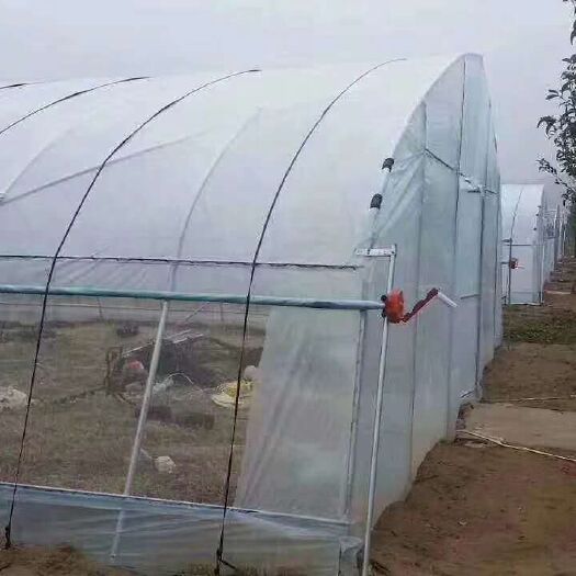 天津蔬菜大棚 蔬菜大鹏，养殖大棚，热镀锌厂家直销