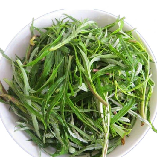 喀左县山野菜 新鲜东北野菜，欢迎选购，天然无公害。