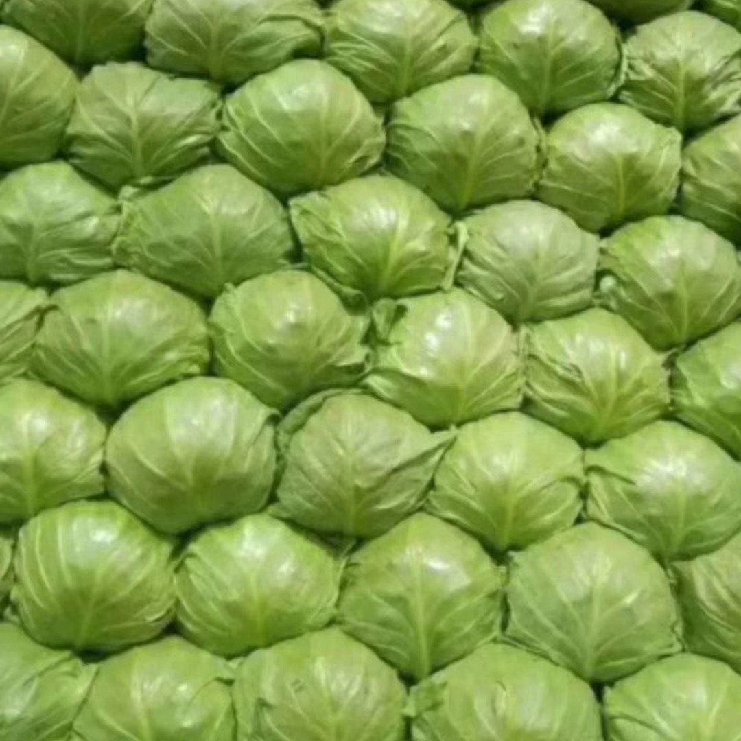 中甘系列，颜色，百万亩直供