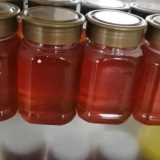长葛市 天然椴树蜜