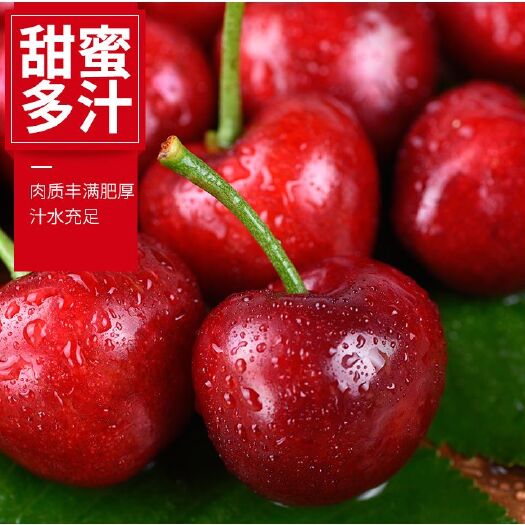 费县 樱桃、大樱珠、脆、甜可口，水果
