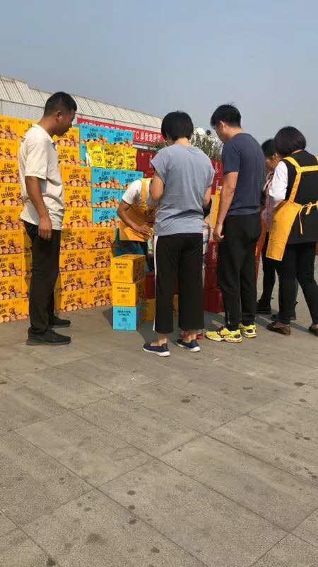 临城县 绿岭烤核桃发货中