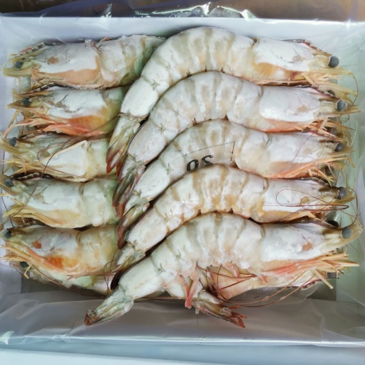 福州 明虾