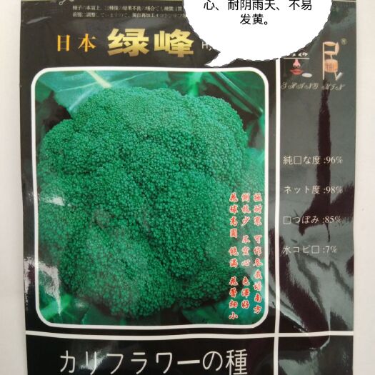 绵阳耐雨水不易发黄不易空心日本引进西兰花种子基地专用青花菜种子