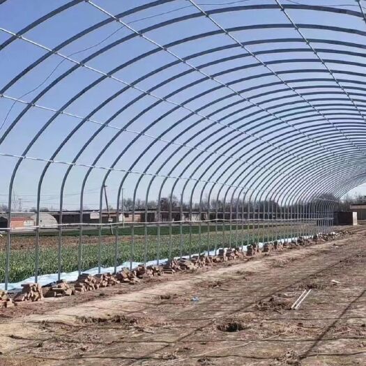 天津大棚管 30*60椭圆管生产加工 1寸6分镀锌圆管 蔬菜大棚骨架