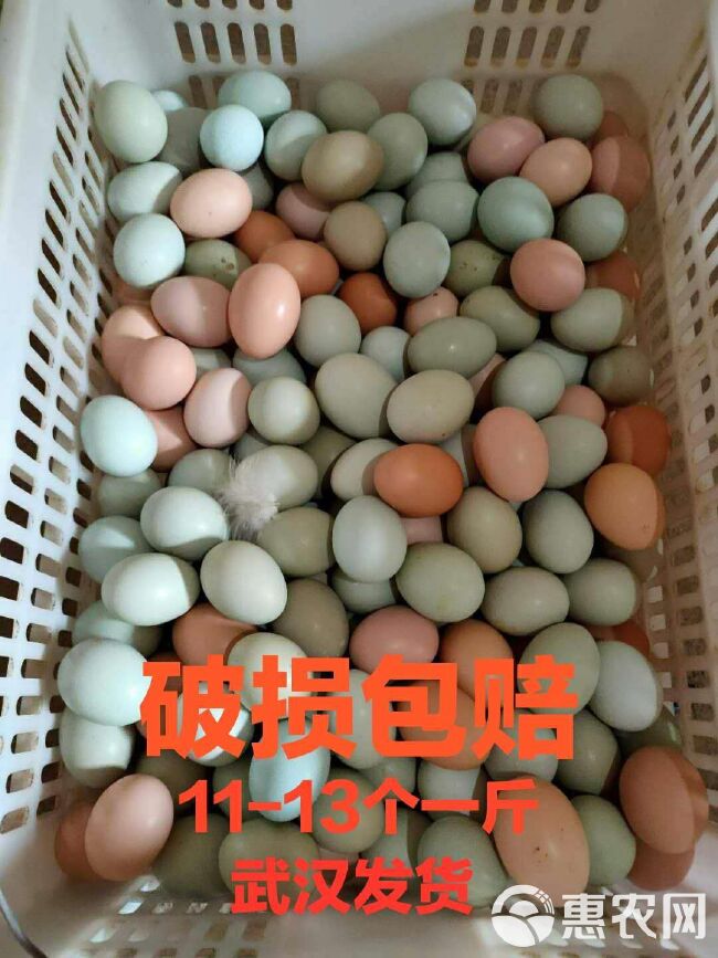土鸡蛋 大绿壳蛋9个一斤12个一斤，武汉发货