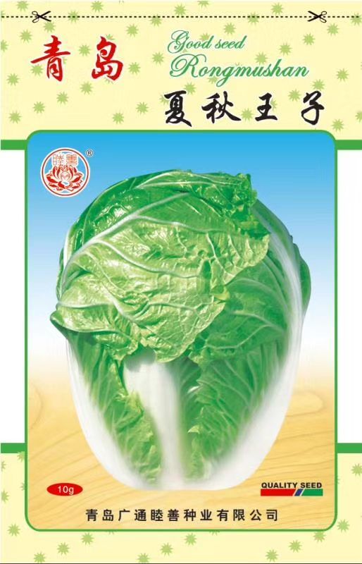 夏阳白菜种子 夏秋王子白菜早熟耐高温38度以上高抗病抗腐