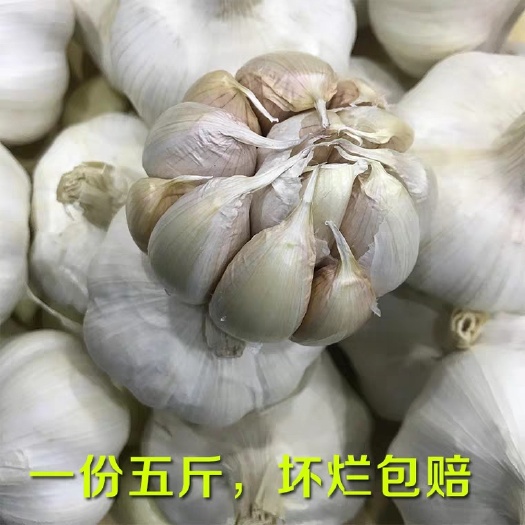  干蒜头2019年白皮大蒜头晒干紫皮净重5斤蒜蓉烧烤糖醋腌制包