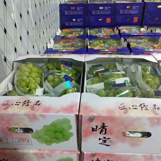 澧县 我们这边有4万多阳光玫瑰，希望广大的新老客户前来订购