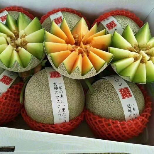 莘县西州蜜25号 2斤以上