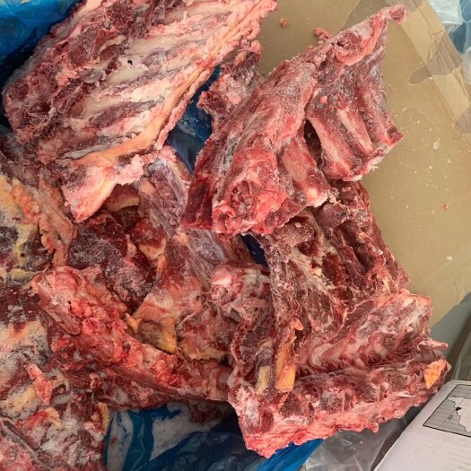 锡林浩特牛脊骨  486牛背骨全国接单中