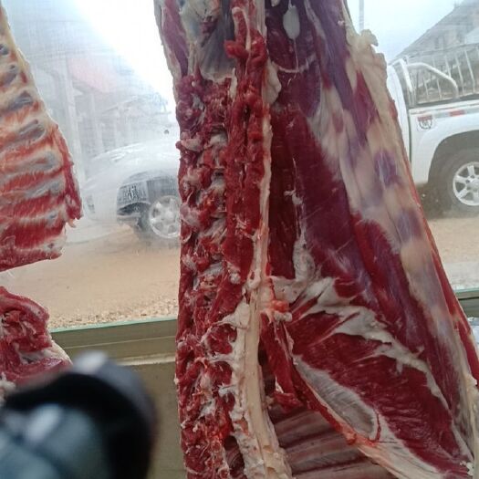 盖州市羊肉类 生肉