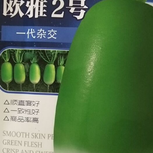 扶沟县 萝卜种子