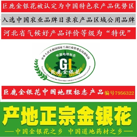 巨鹿县 巨鹿金银花中国国家地理标志产品