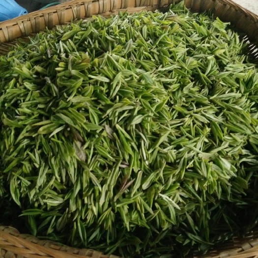 酉阳 家乡特产宜居茶，谷雨办公绿茶。
