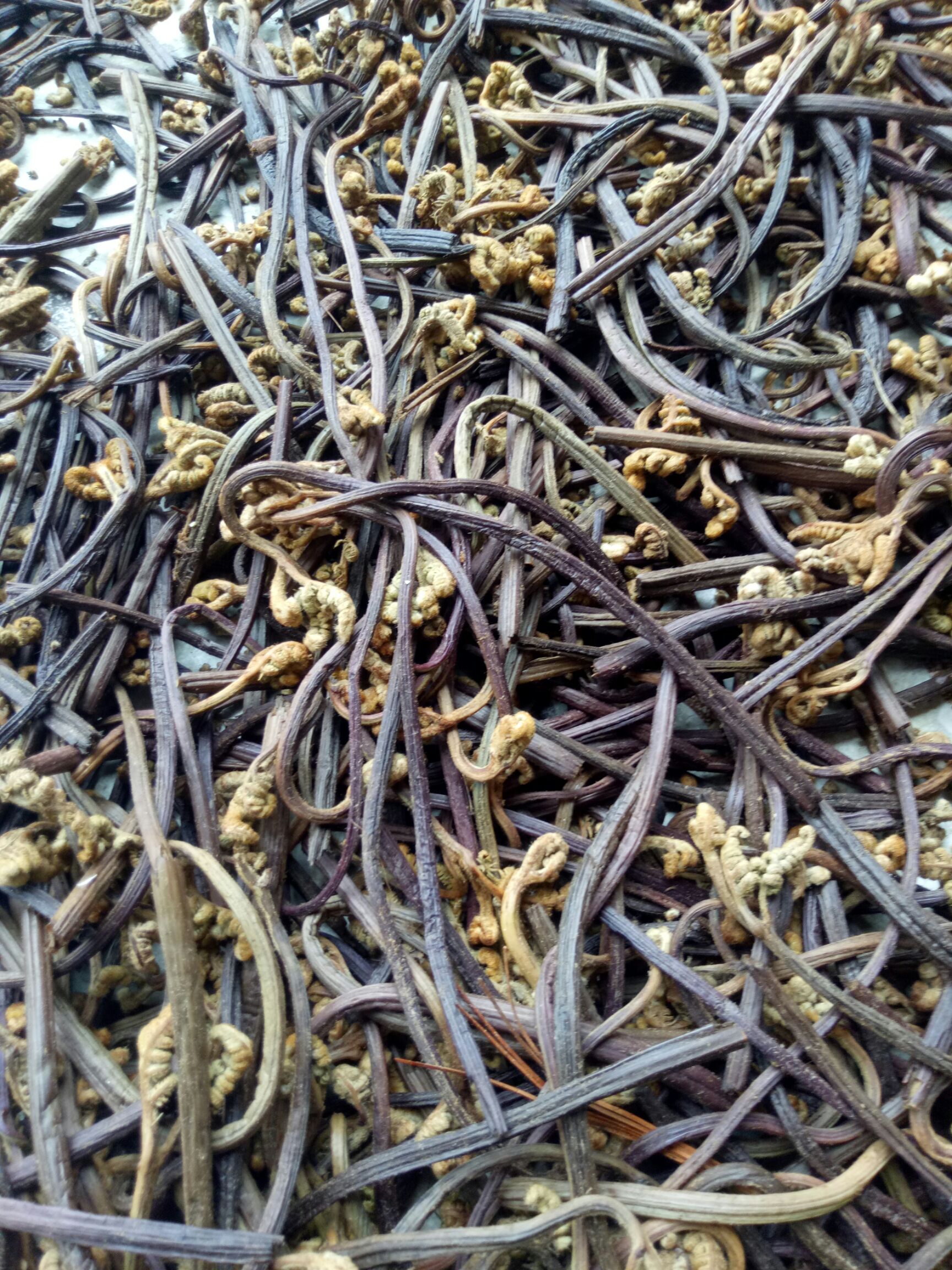 蕨菜，干货
