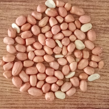 桐柏县大白沙纯干货油料花生米