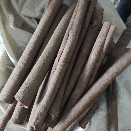 容县 新货上市， 大量肉桂，中小通有货价格好商量，欢迎咨询