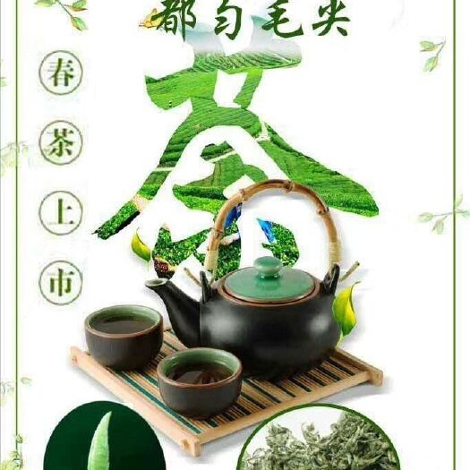 平塘县 都匀毛尖茶高山云雾茶干净茶