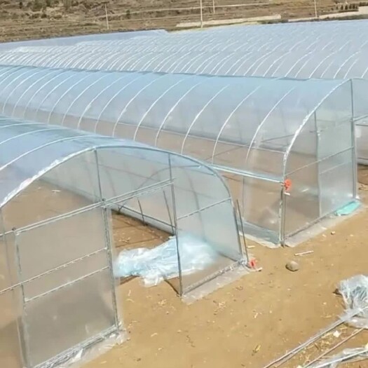 天津 交易成套大棚具有成本低，实用广泛，深受广大农户的青睐！