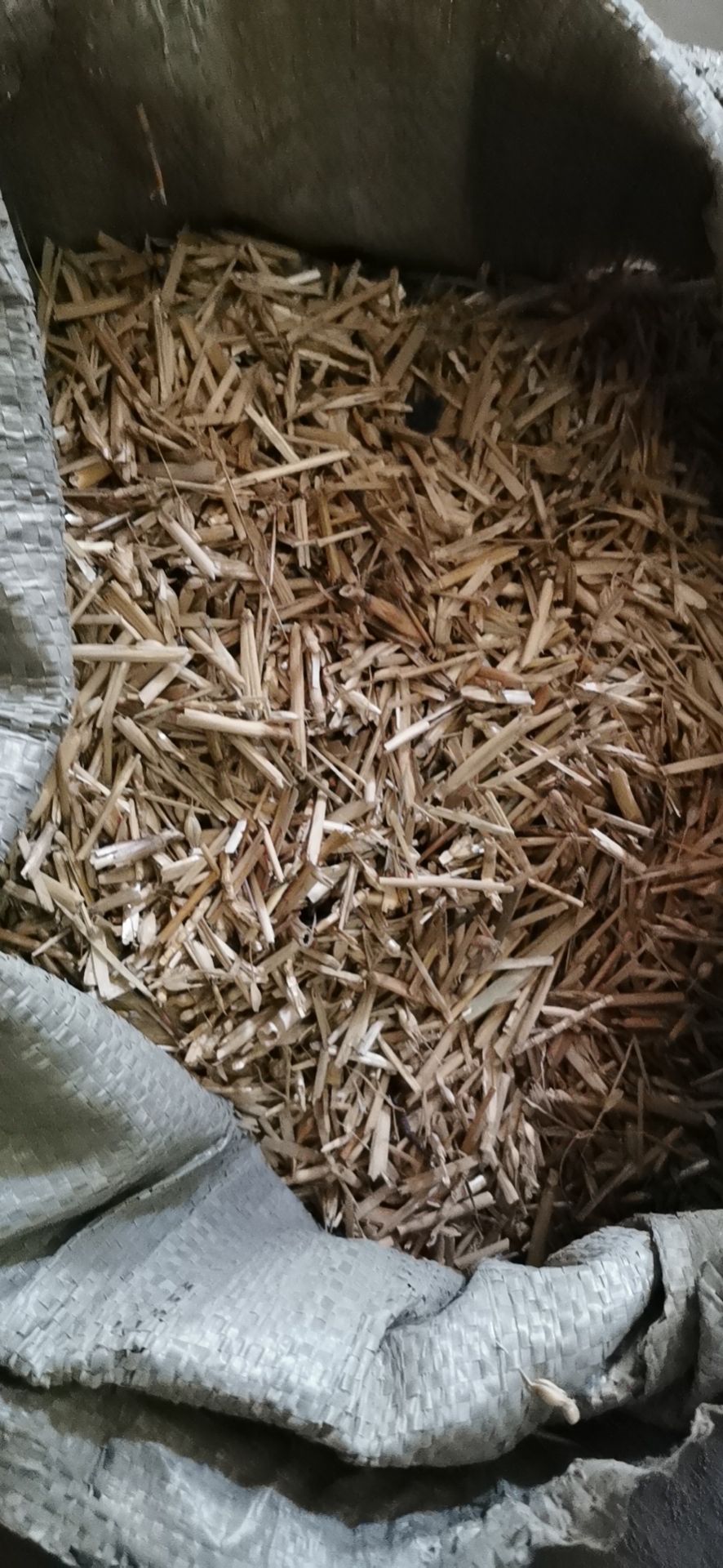 小麦秸秆 鸭 鹅 猪 牛