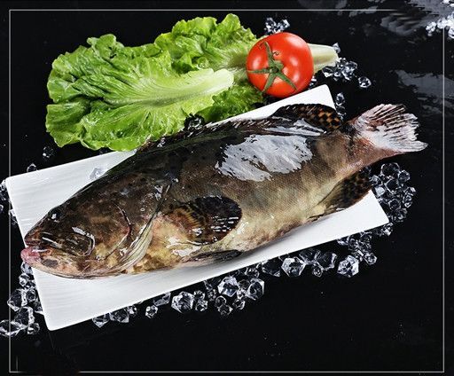 深圳 深海石斑鱼非养殖食用高档海鲜