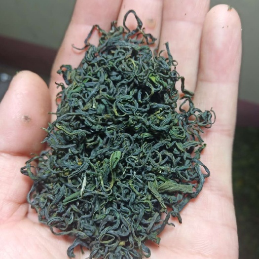 日照绿茶  2021年春茶假一赔十，自产自销
