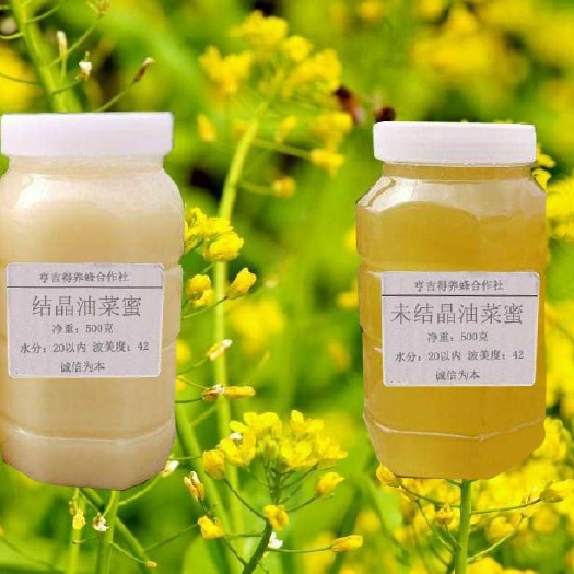 合肥 油菜蜜
