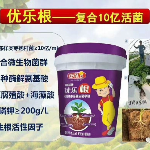 郑州水溶肥料 优乐根 十亿活菌 强生根  抗重茬  防死棵 厂家