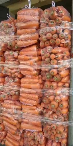 三红胡萝卜  次品胡萝卜，加工厂速冻，脱水，VF 专用