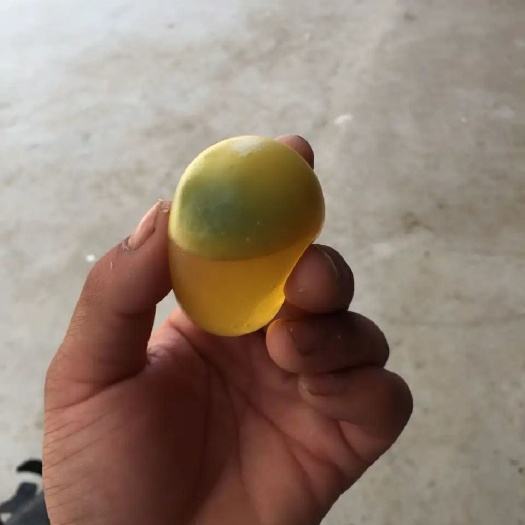 柘城县松花皮蛋  正宗糖心河南变蛋