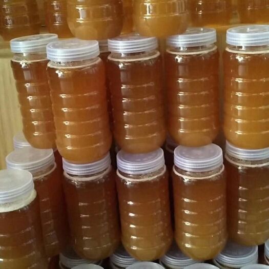 揭阳 农家土蜂蜜，有荔枝蜜，龙眼蜜，冬蜜。