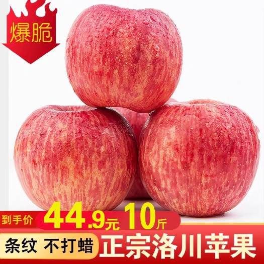 洛川县【产地直发】新鲜陕西洛川红富士苹果水果5/10斤批发包邮