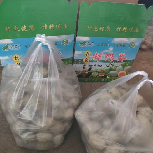 青州市 散养绿皮鸭蛋