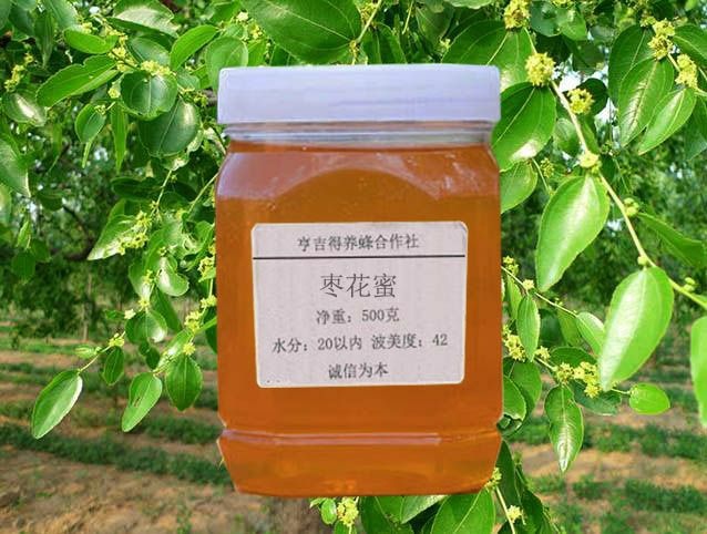 合肥 枣花蜜