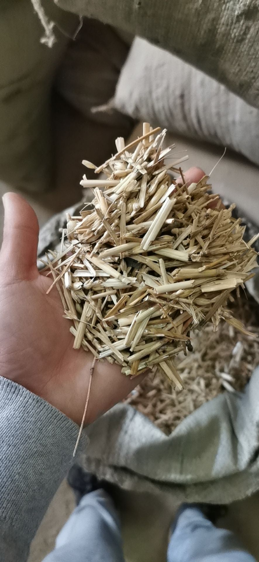 小麦秸秆 鸭 鹅 猪 牛