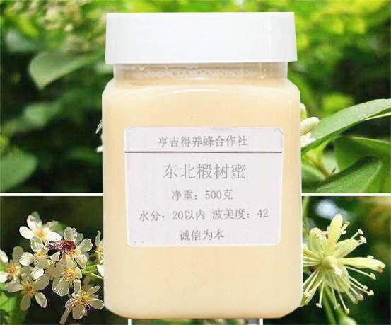 合肥 椴树蜜